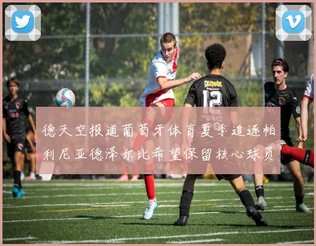 德天空报道葡萄牙体育夏季追逐帕利尼亚德泽尔比希望保留核心球员